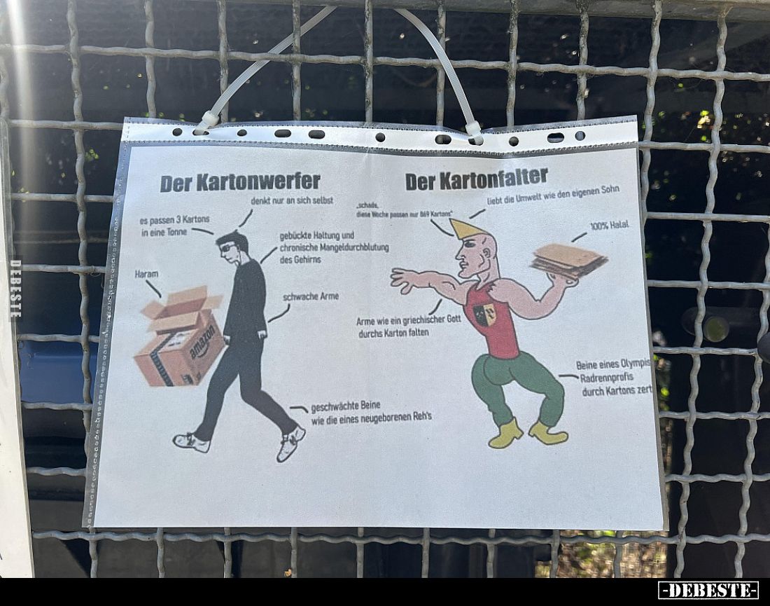 Der Kartonwerfer
-
Der Kartonfalter