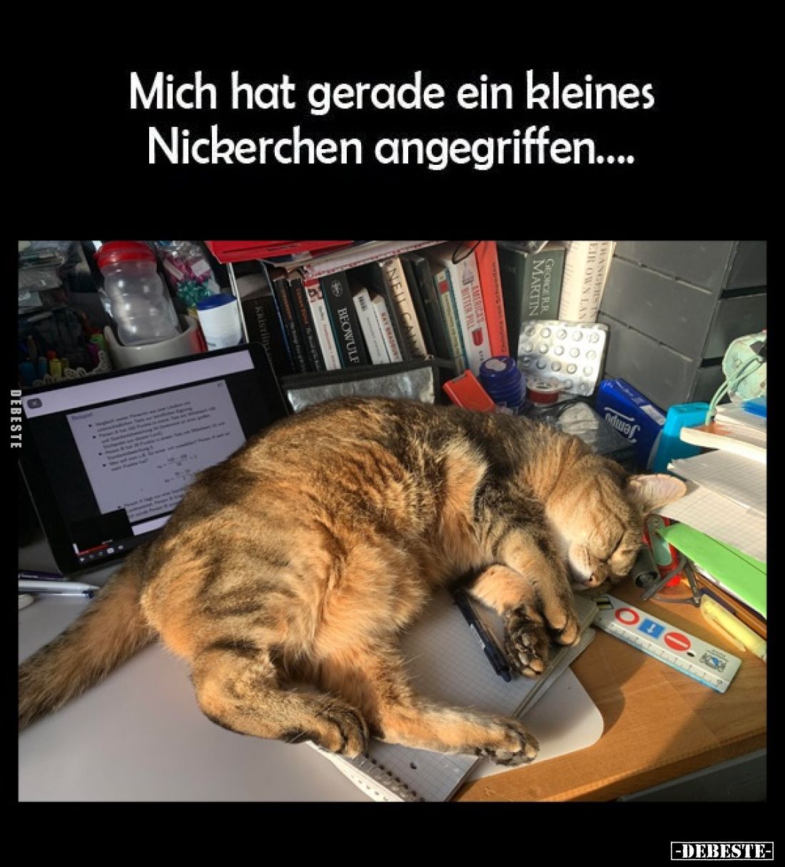 Mich hat gerade ein kleines
Nickerchen angegriffen....
