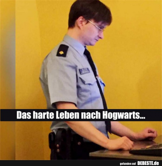 Das harte Leben nach Hogwarts..