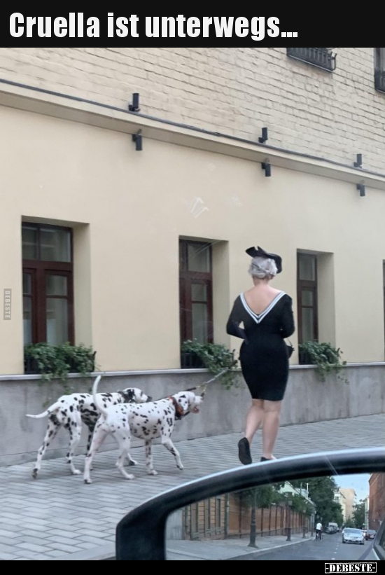 Cruella ist unterwegs... - Lustige Bilder | DEBESTE.de