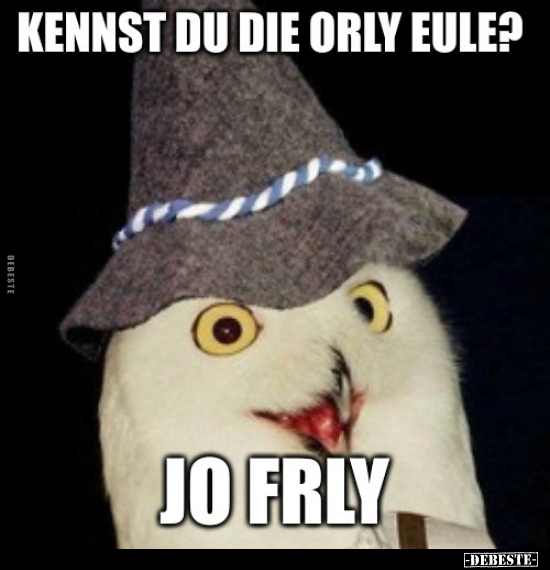 Eule