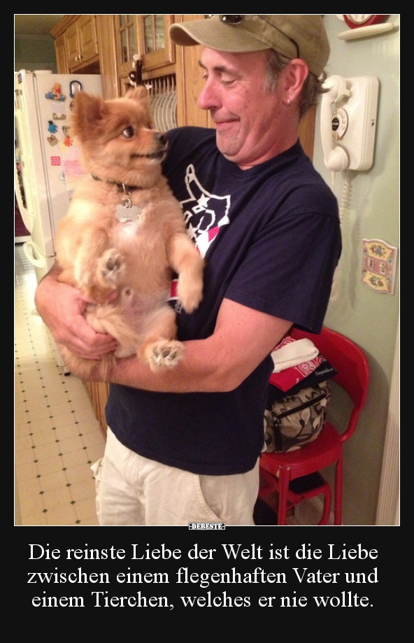 Die reinste Liebe der Welt ist die Liebe zwischen einem..