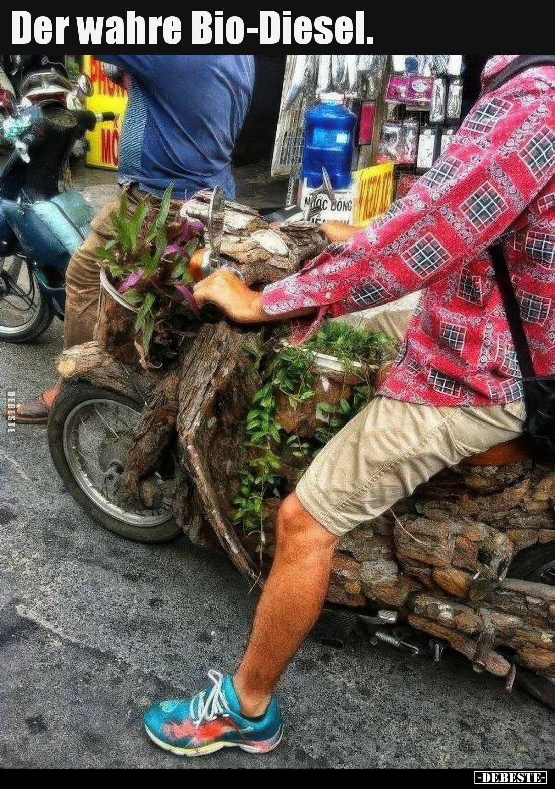 Der wahre Bio-Diesel...