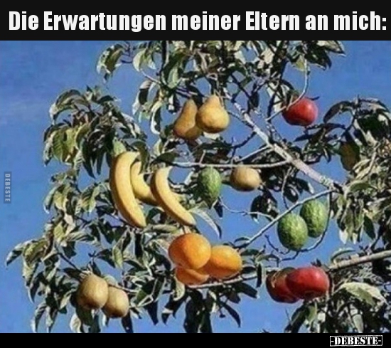 Die Erwartungen meiner Eltern an mich..
