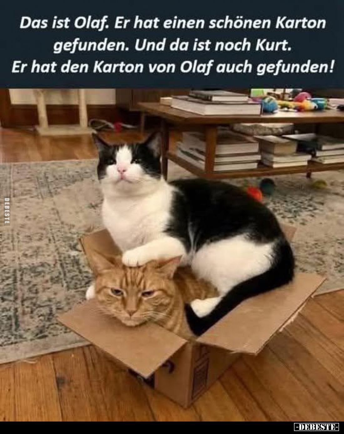 Das ist Olaf. Er hat einen schönen Karton gefunden. Und da ist noch Kurt. Er hat den Karton von Olaf auch gefunden!