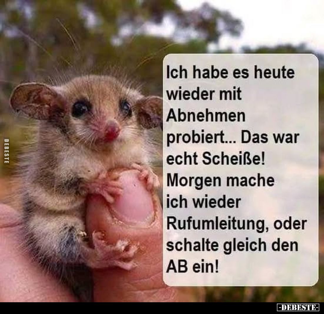 Ich habe es heute wieder mit Abnehmen probiert... - Lustige Bilder | DEBESTE.de