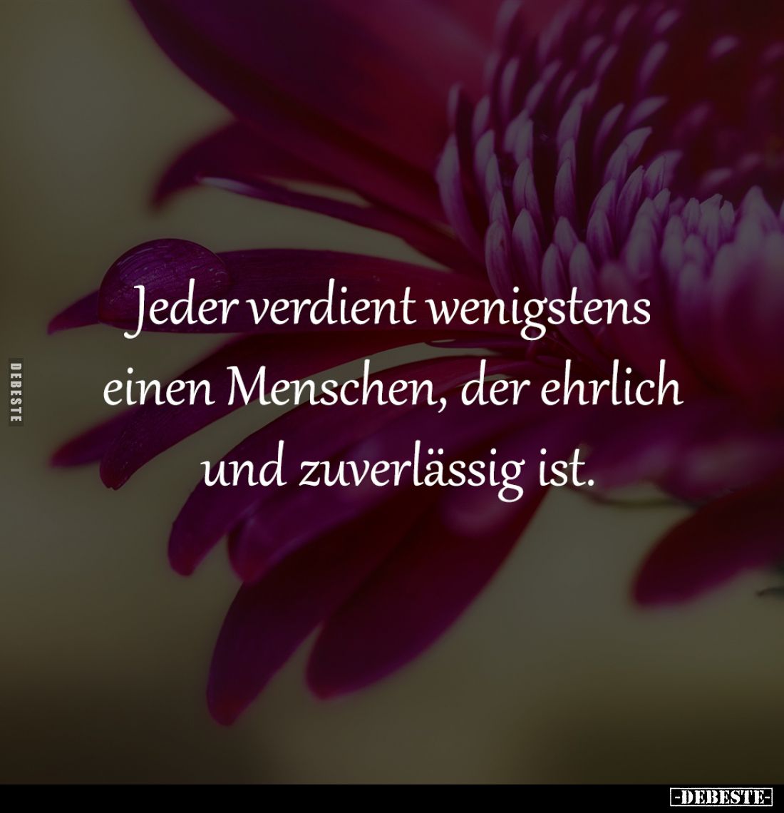 Jeder verdient wenigstens
einen Menschen, der ehrlich
und zuverlässig ist.