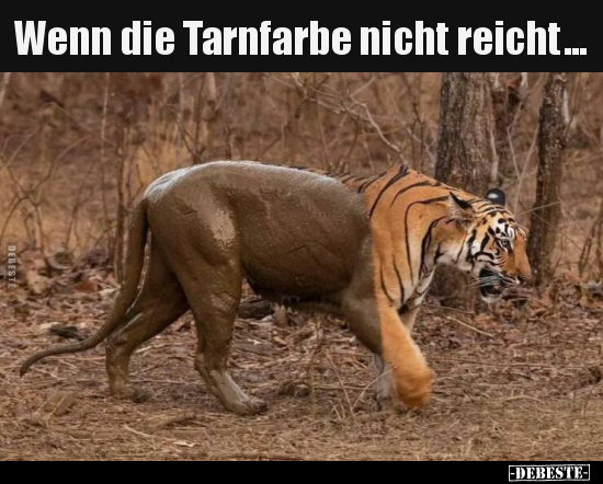 Wenn die Tarnfarbe nicht reicht...