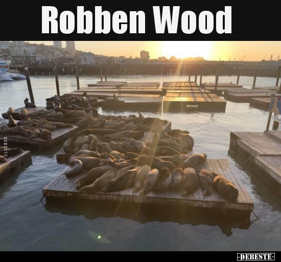 Robben Wood.. - Lustige Bilder | DEBESTE.de