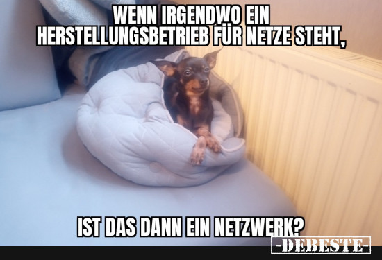 Philosopvieh  - Lustige Bilder | DEBESTE.de