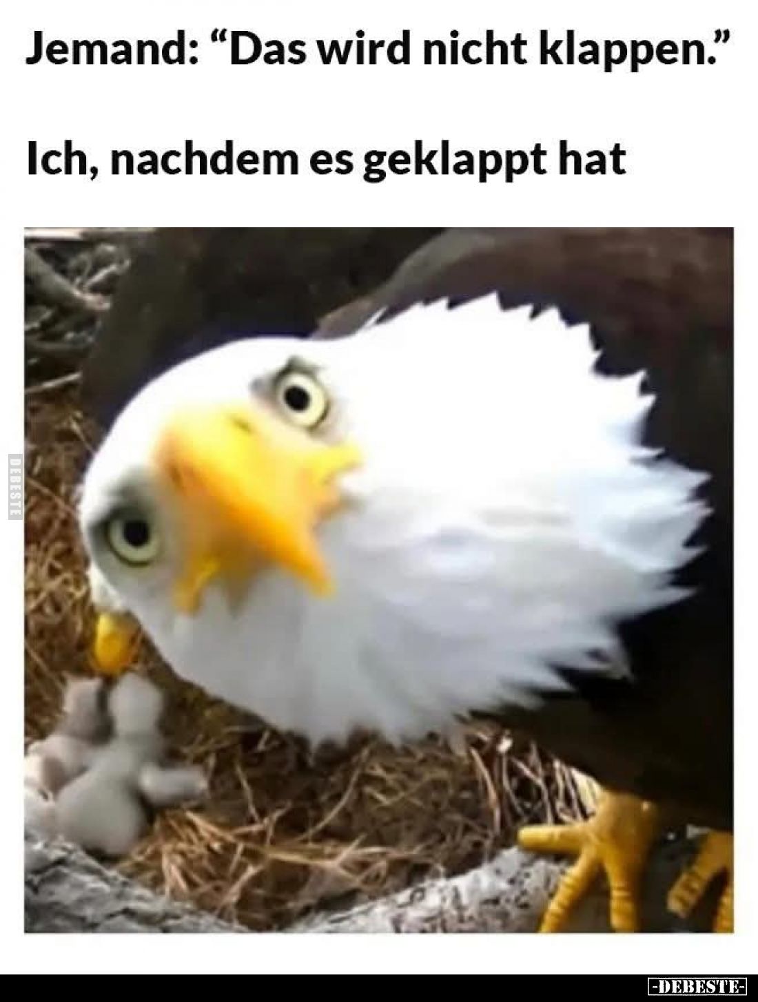 Jemand: "Das wird nicht klappen." -
Ich, nachdem es geklappt hat.