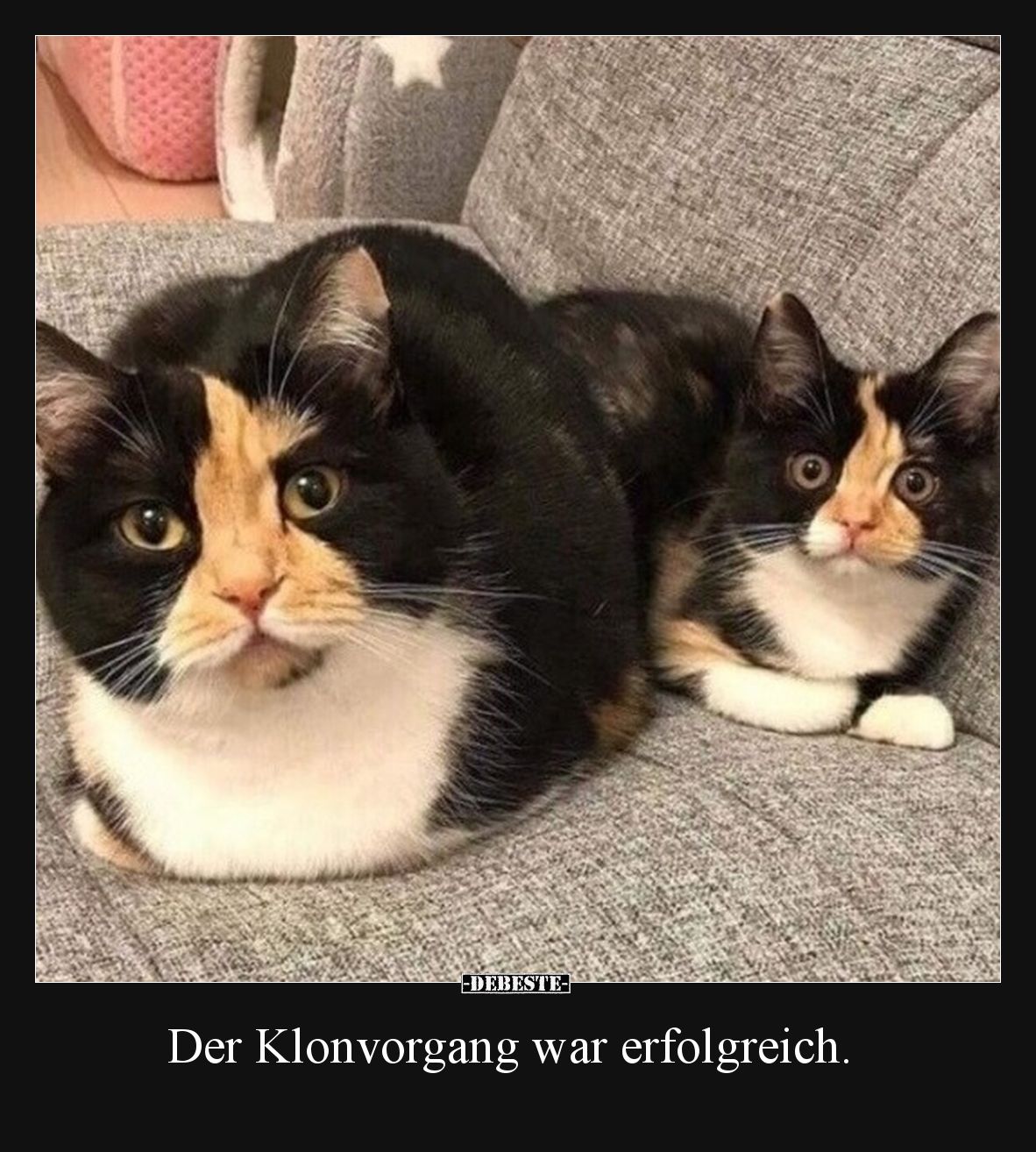 Der Klonvorgang war erfolgreich.