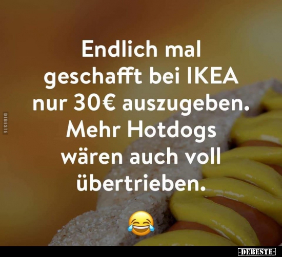 Endlich mal geschafft bei IKEA nur 30€ auszugeben... - Lustige Bilder | DEBESTE.de