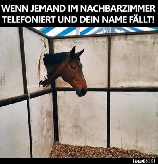 Wenn jemand im Nachbarzimmer telefoniert und dein Name.. - Lustige Bilder | DEBESTE.de