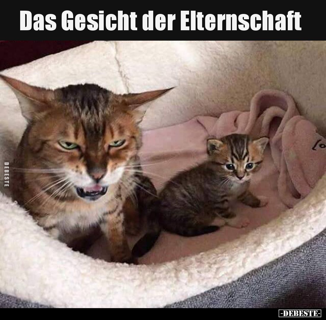 Das Gesicht der Elternschaft