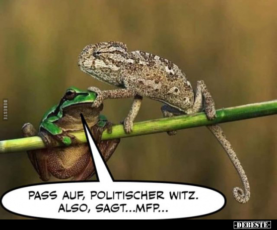 Pass auf, politischer Witz... - Lustige Bilder | DEBESTE.de