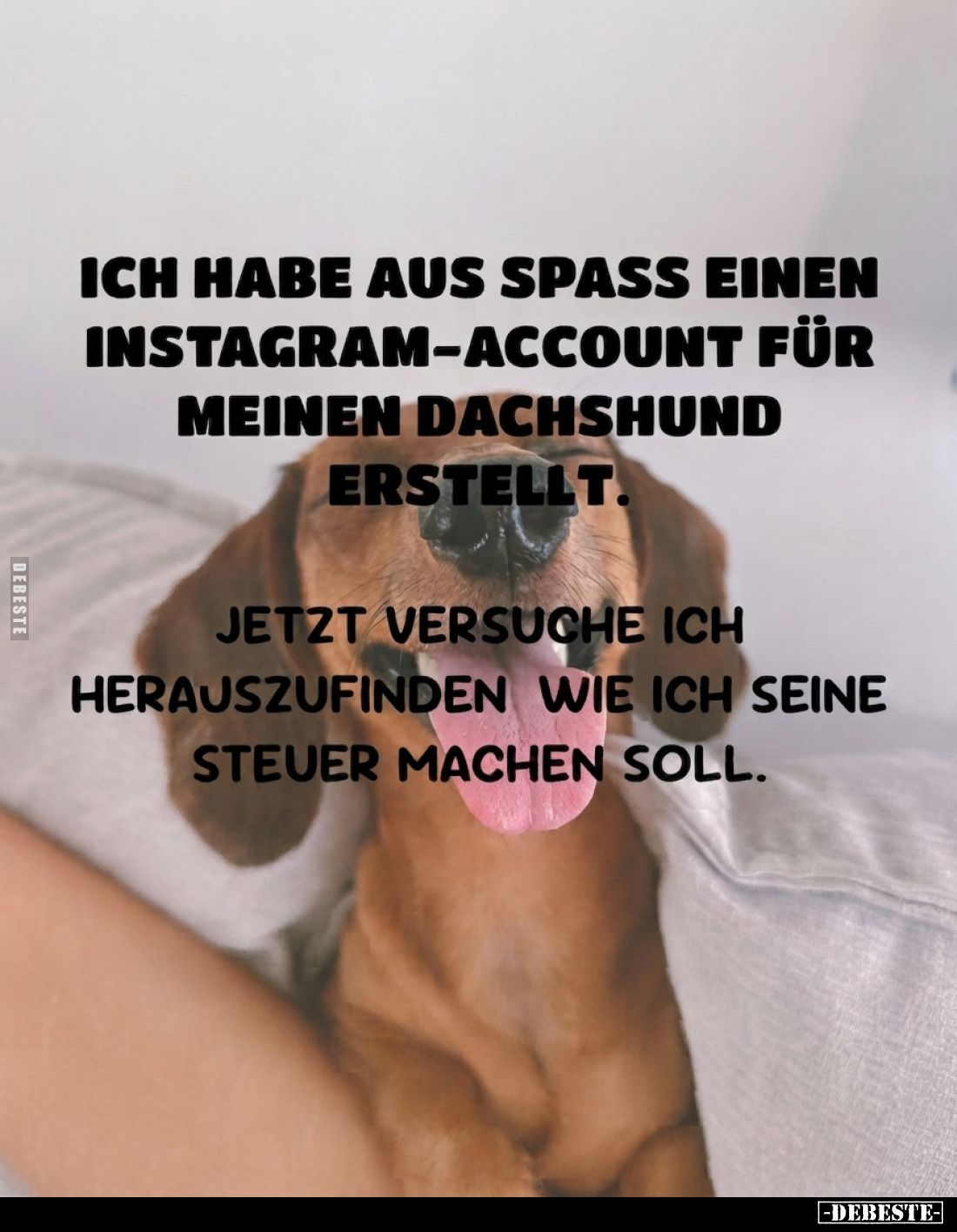 Ich habe aus Spass einen Instagram-Account für meinen Dachshund erstellt.
Jetzt versuche ich herauszufinden, wie ich seine S...