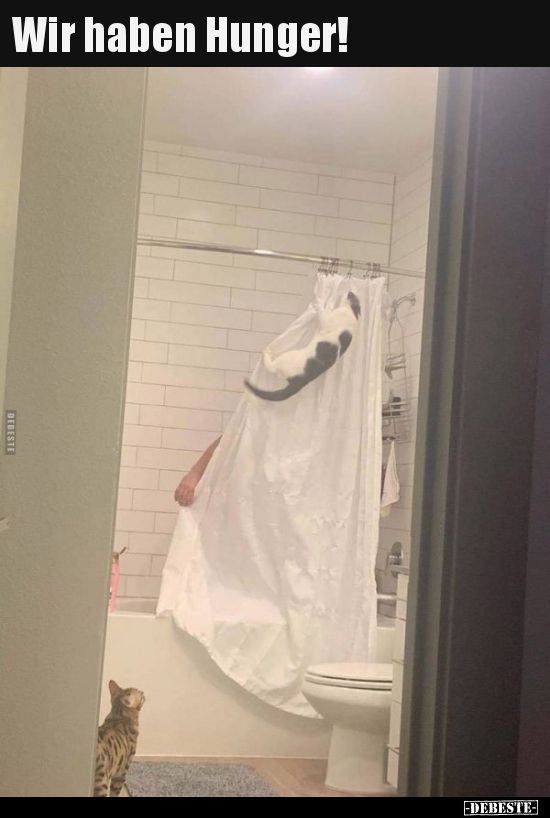 Wir haben Hunger!..
