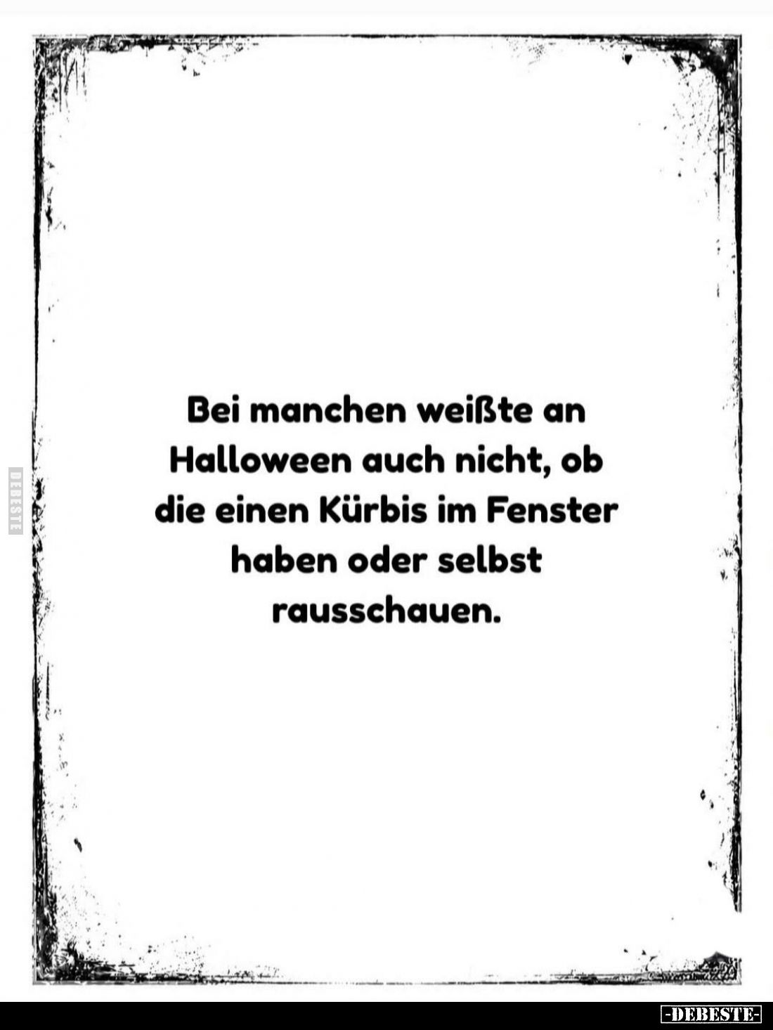 Bei manchen weißte an Halloween auch nicht, ob die einen Kürbis im Fenster haben oder selbst rausschauen.