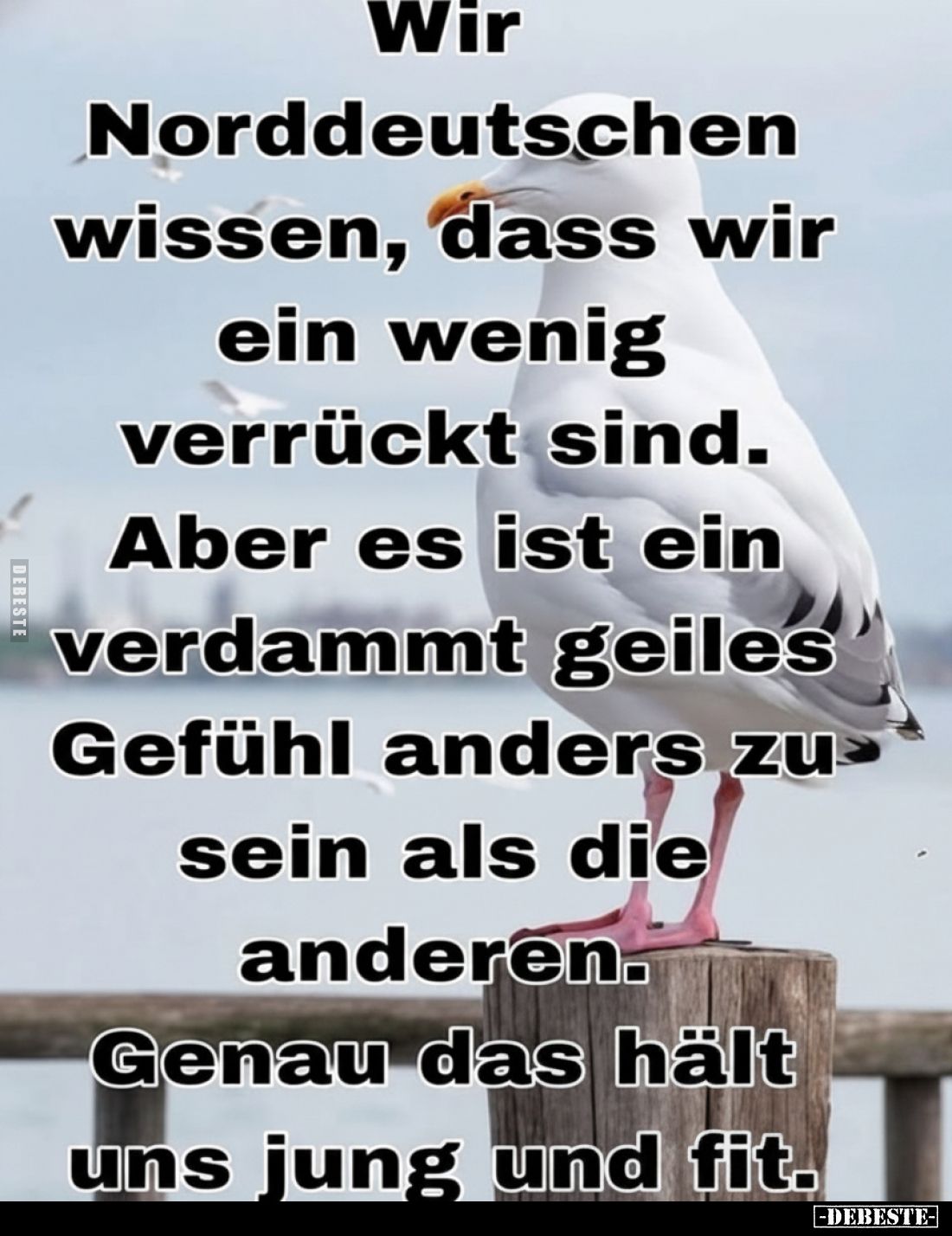 Wir Norddeutschen wissen, dass wir ein wenig verrückt sind. Aber es ist ein verdammt geiles Gefühl anders zu sein als die and...