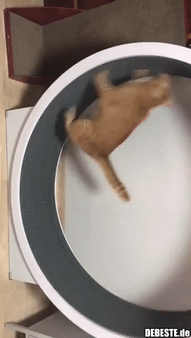 Das perfekte Sternzeichen für mich...