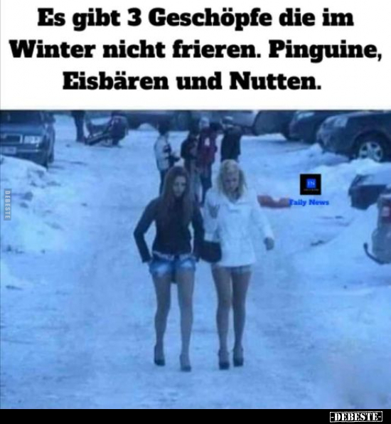 Es gibt 3 Geschöpfe die im Winter nicht frieren... - Lustige Bilder | DEBESTE.de