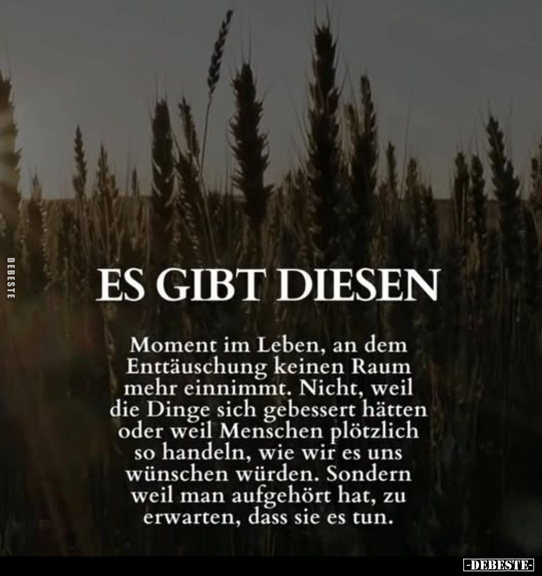 Es gibt diesen
Moment im Leben, an dem Enttäuschung keinen Raum mehr einnimmt. Nicht, weil die Dinge sich gebessert hätten o...