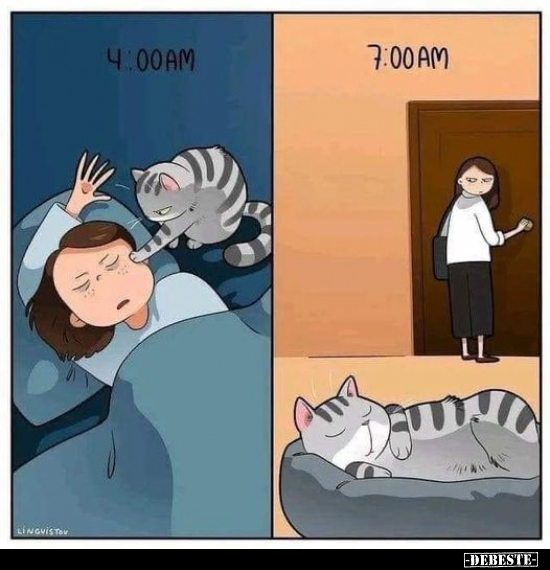  - Lustige Bilder | DEBESTE.de