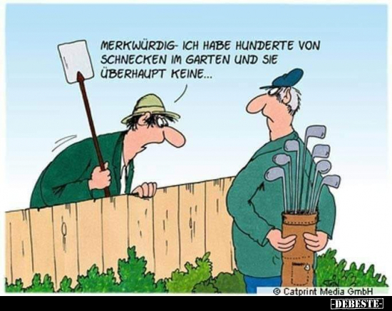 Merkwürdig ich habe Hunderte von Schnecken im Garten.. - Lustige Bilder | DEBESTE.de