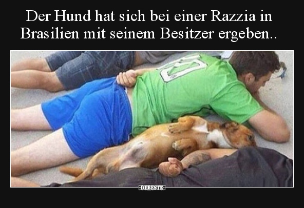 Der Hund hat sich bei einer Razzia in Brasilien mit seinem..