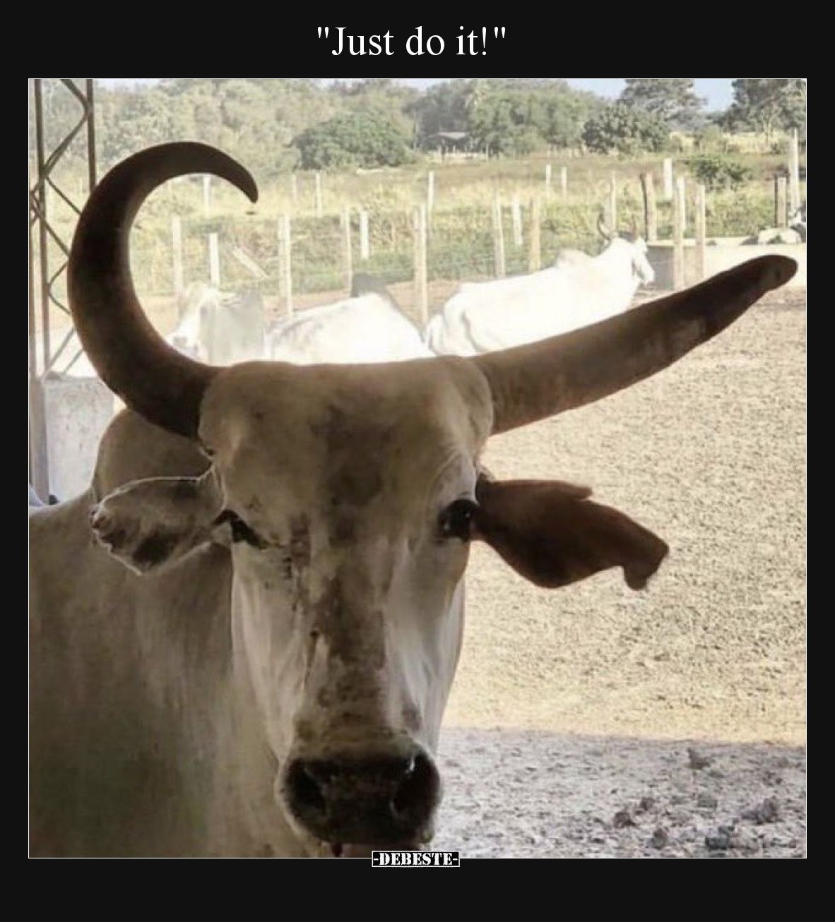 "Just do it!"..