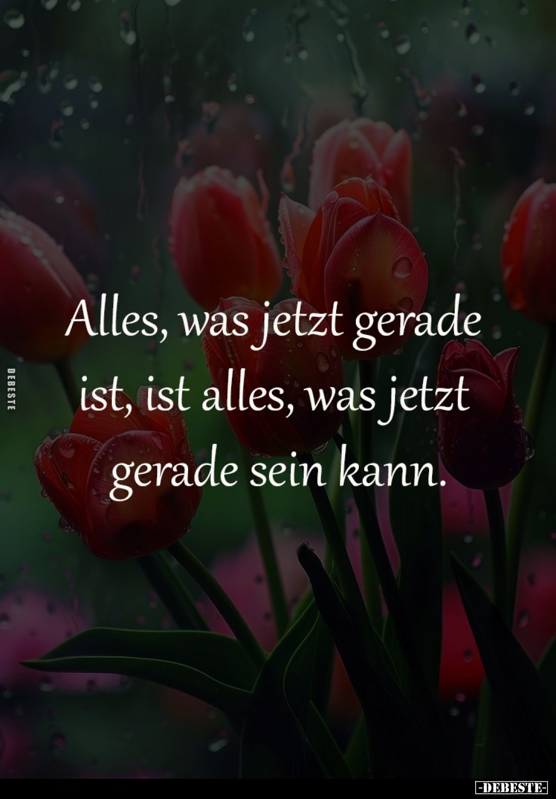 Alles, was jetzt gerade ist... - Lustige Bilder | DEBESTE.de