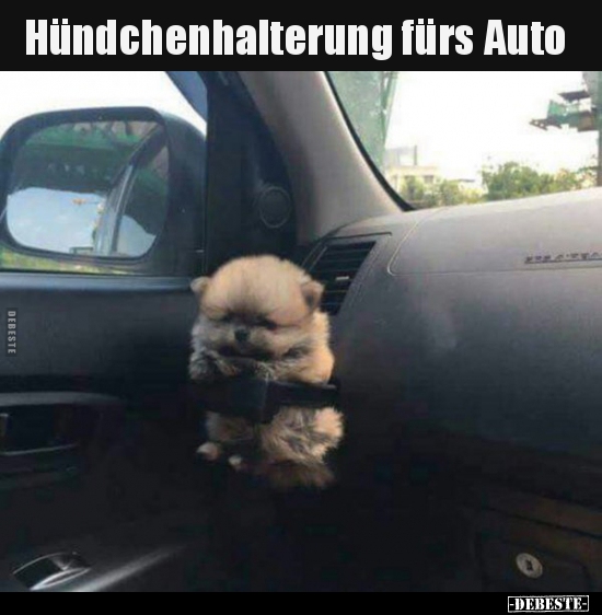 Hündchenhalterung fürs Auto..