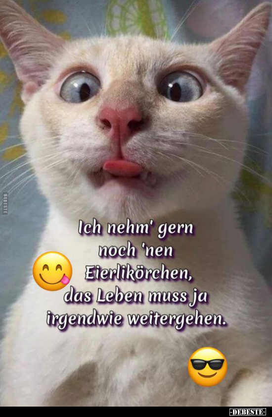 Eierlik r Witze Und Spr che DEBESTE de
