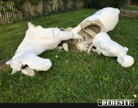  - Lustige Bilder | DEBESTE.de