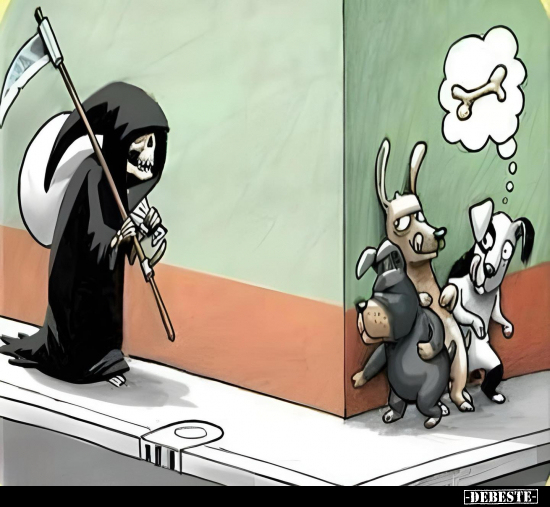  - Lustige Bilder | DEBESTE.de