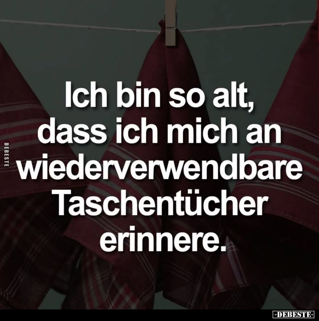 Ich bin so alt, dass ich mich an wiederverwendbare Taschentücher erinnere.