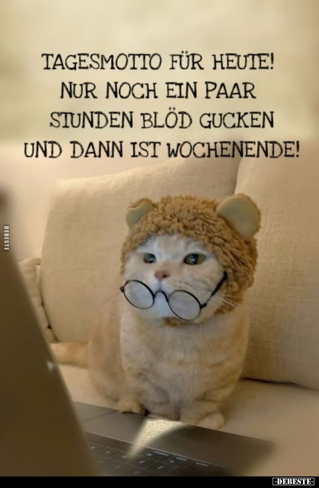 Tagesmotto für heute!
Nur noch ein paar Stunden blöd gucken und dann ist Wochenende!