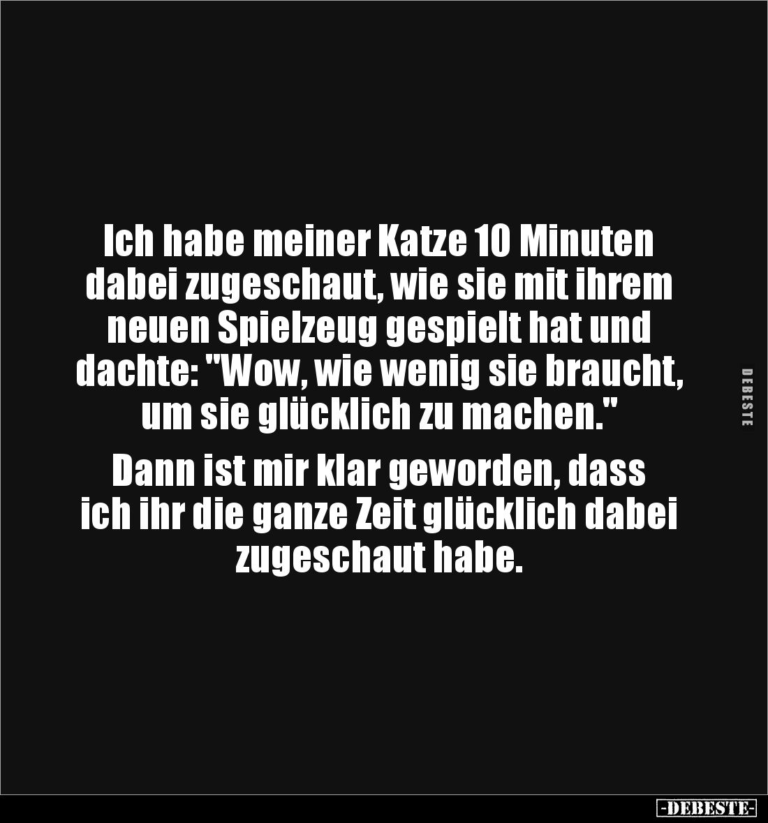 Ich habe meiner Katze 10 Minuten 
dabei zugeschaut, wie sie mit ihrem
neuen Spielzeug gespielt hat und 
dachte: "Wow,...