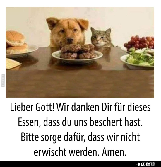 Lieber Gott! Wir danken Dir Essen, dass du uns beschert hast.. - Lustige Bilder | DEBESTE.de