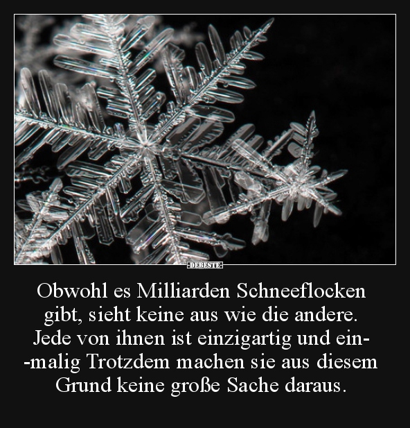 Obwohl es Milliarden Schneeflocken gibt, sieht keine aus.. - Lustige Bilder | DEBESTE.de