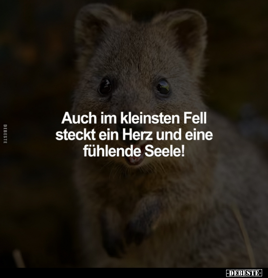 Fell, Herz