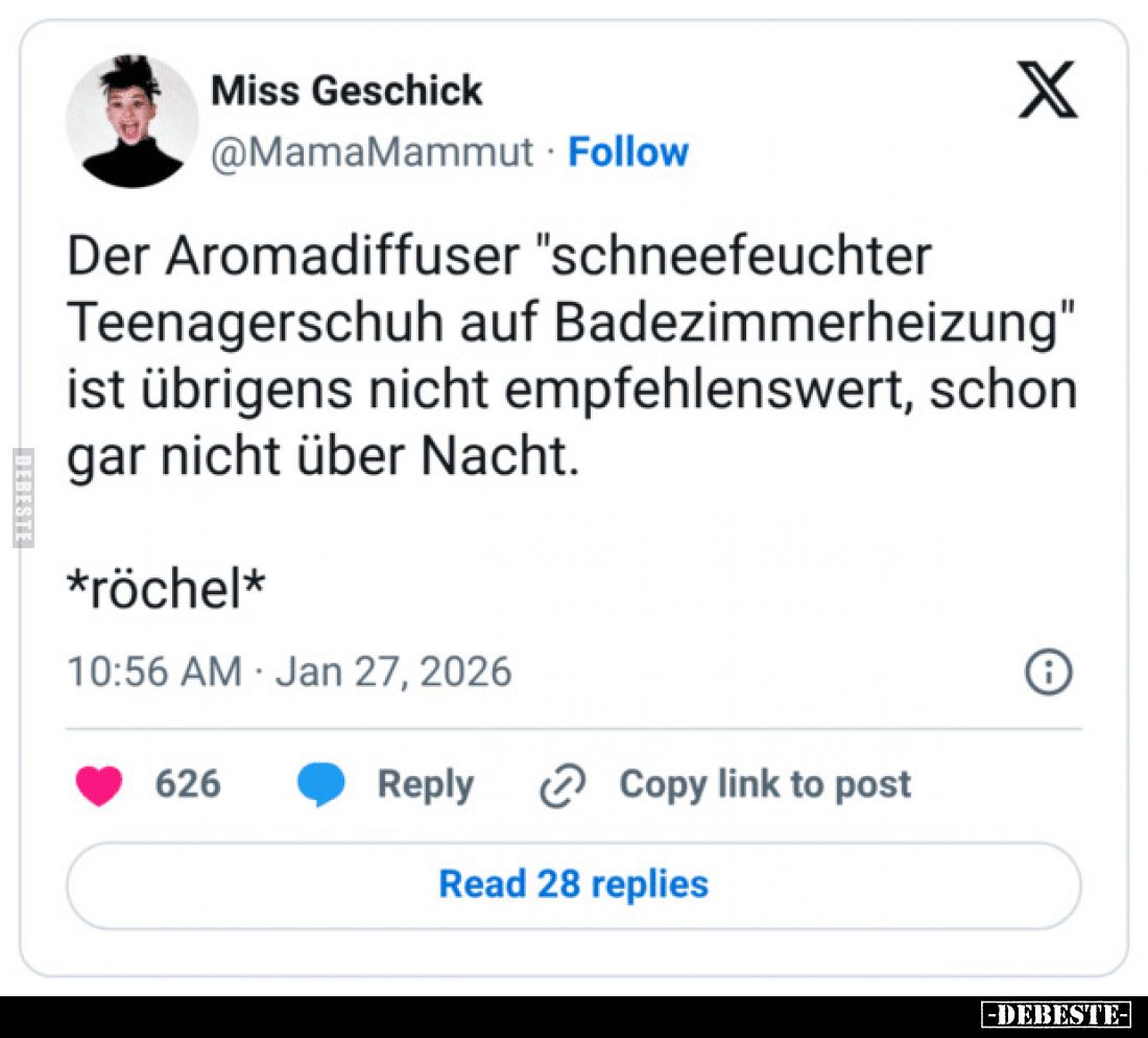 Der Aromadiffuser "schneefeuchter Teenagerschuh auf Badezimmerheizung" ist übrigens nicht empfehlenswert, schon gar...