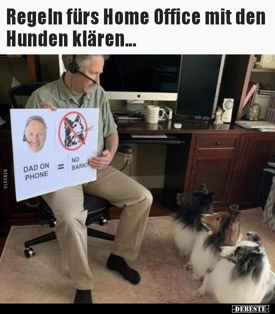 Regeln fürs Home Office mit den Hunden klären... - Lustige Bilder | DEBESTE.de