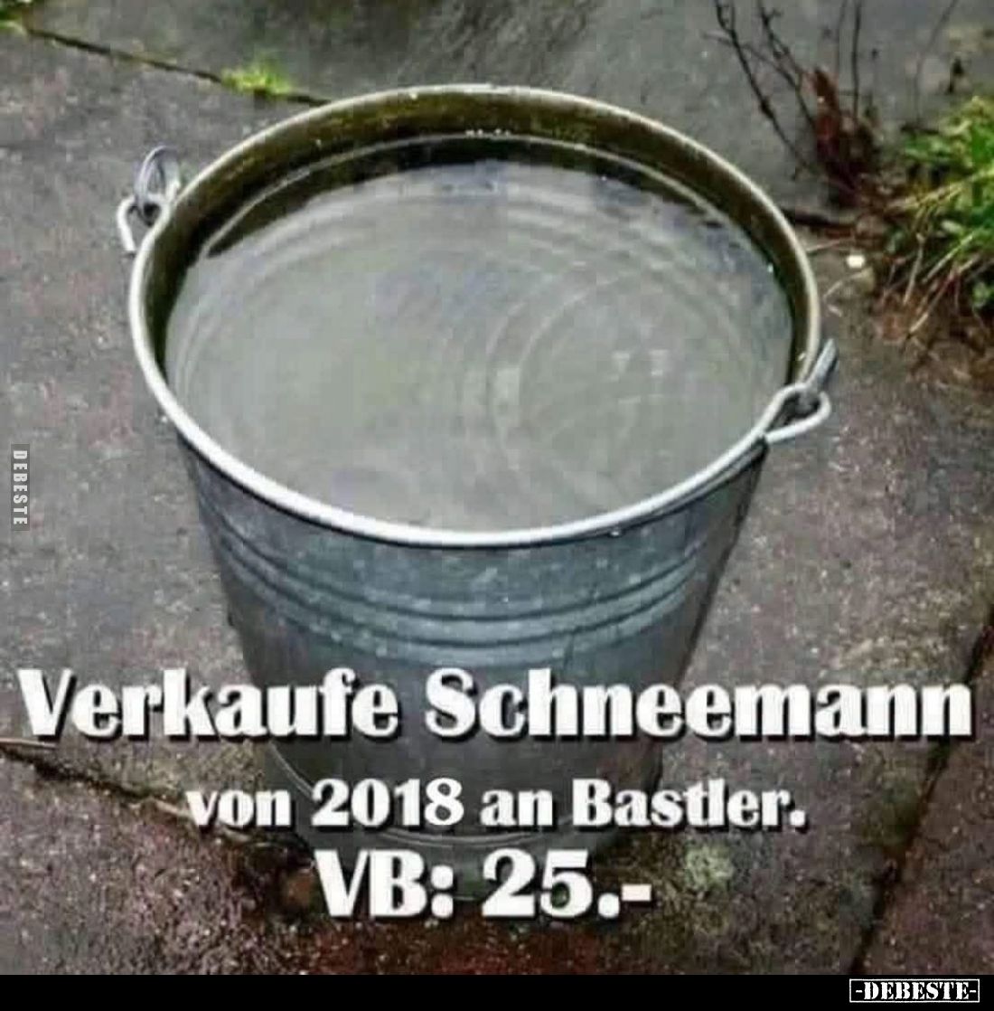 Verkaufe Schneemann von 2018 an Bastler.