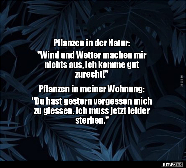 Pflanzen in der Natur: "Wind und Wetter machen mir nichts.." - Lustige Bilder | DEBESTE.de