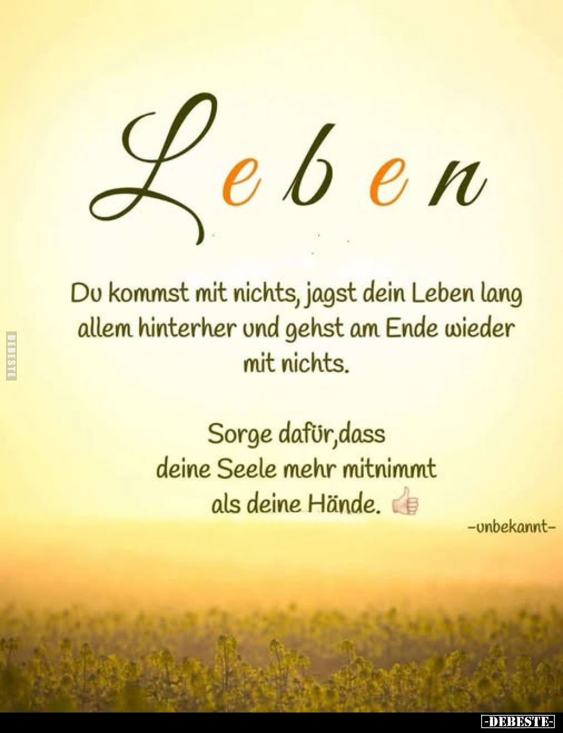 Leben - Du kommst mit nichts, jagst dein Leben lang allem.. - Lustige Bilder | DEBESTE.de
