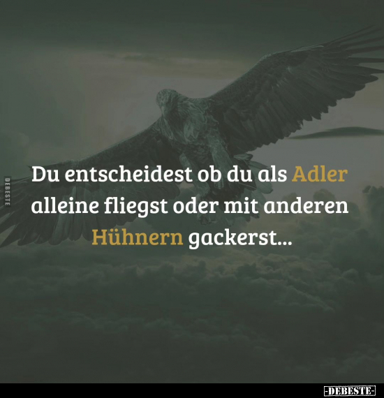 Du entscheidest ob du als Adler alleine fliegst.. - Lustige Bilder | DEBESTE.de