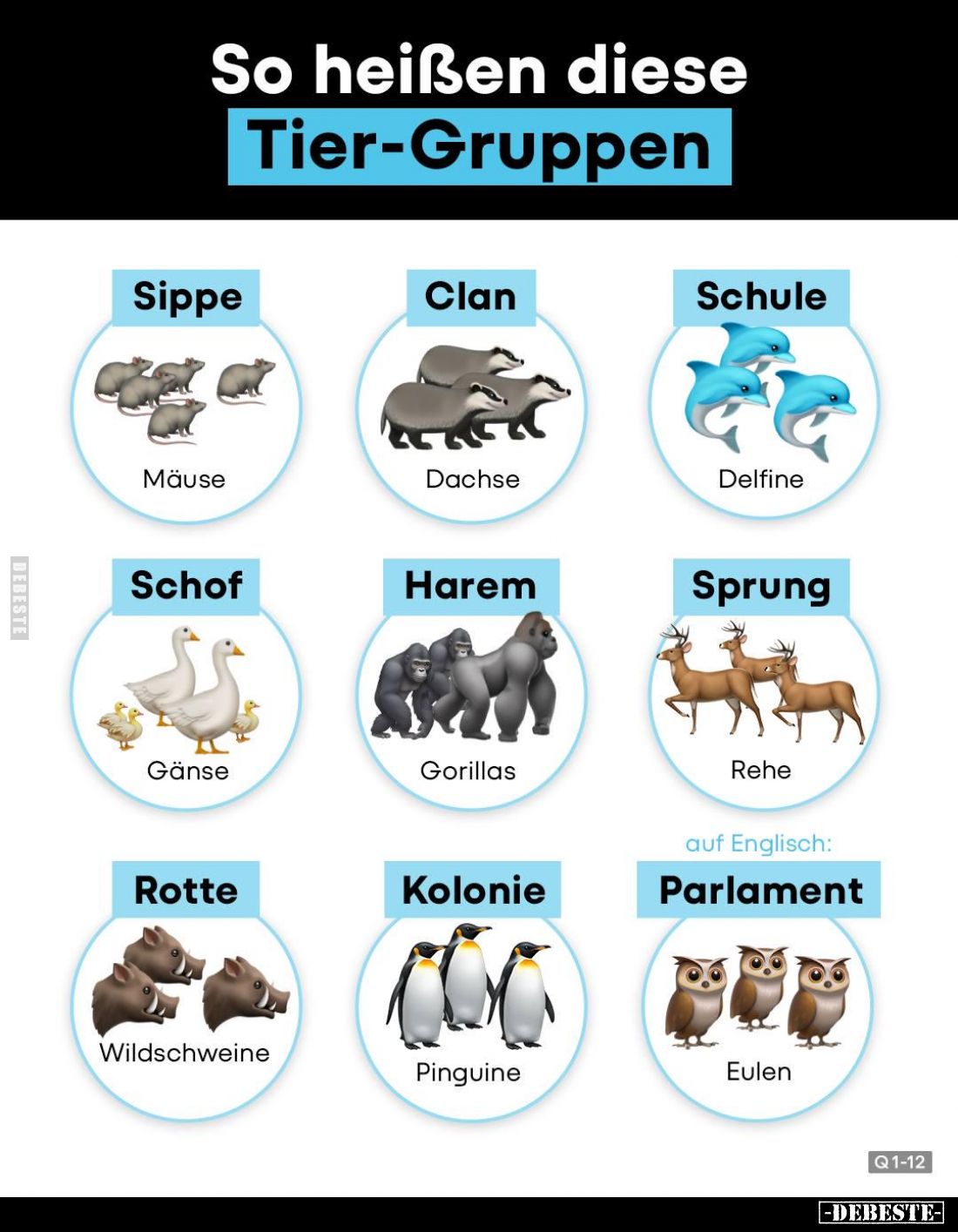 So heißen diese Tier-Gruppen..