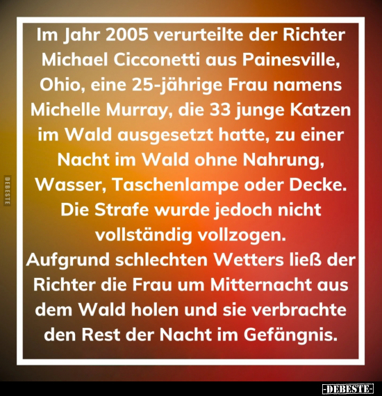 Richter, Michael, Ohio, Frau, Junge, Katzen, Wald, Nacht, Ohne